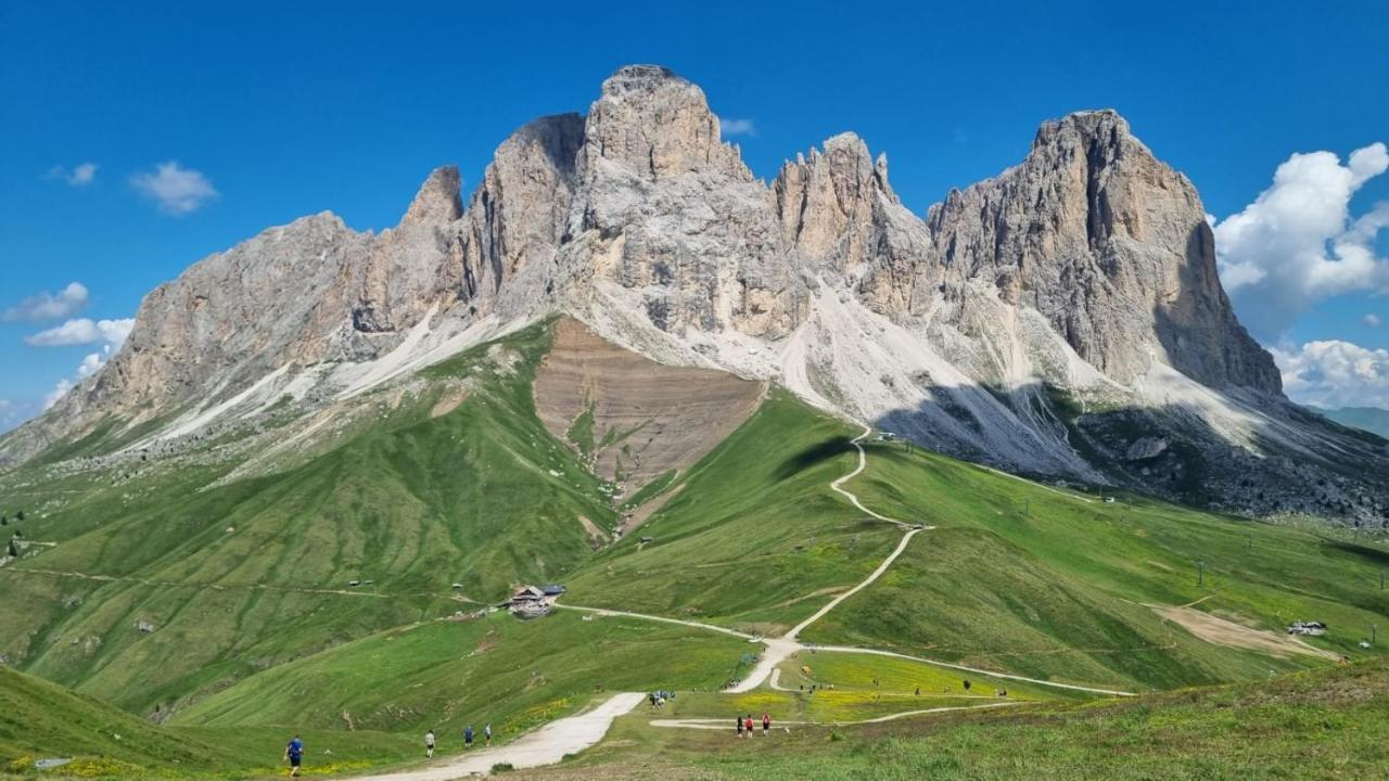 Апартаменты Cesa Pier Sellaronda Dolomiti Кампителло-ди-Фасса Экстерьер фото