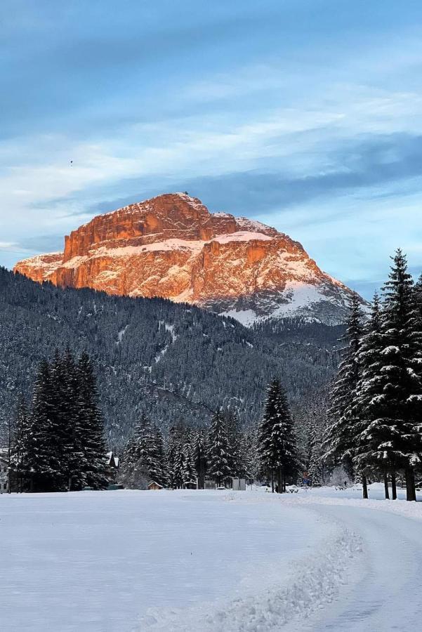 Апартаменты Cesa Pier Sellaronda Dolomiti Кампителло-ди-Фасса Экстерьер фото