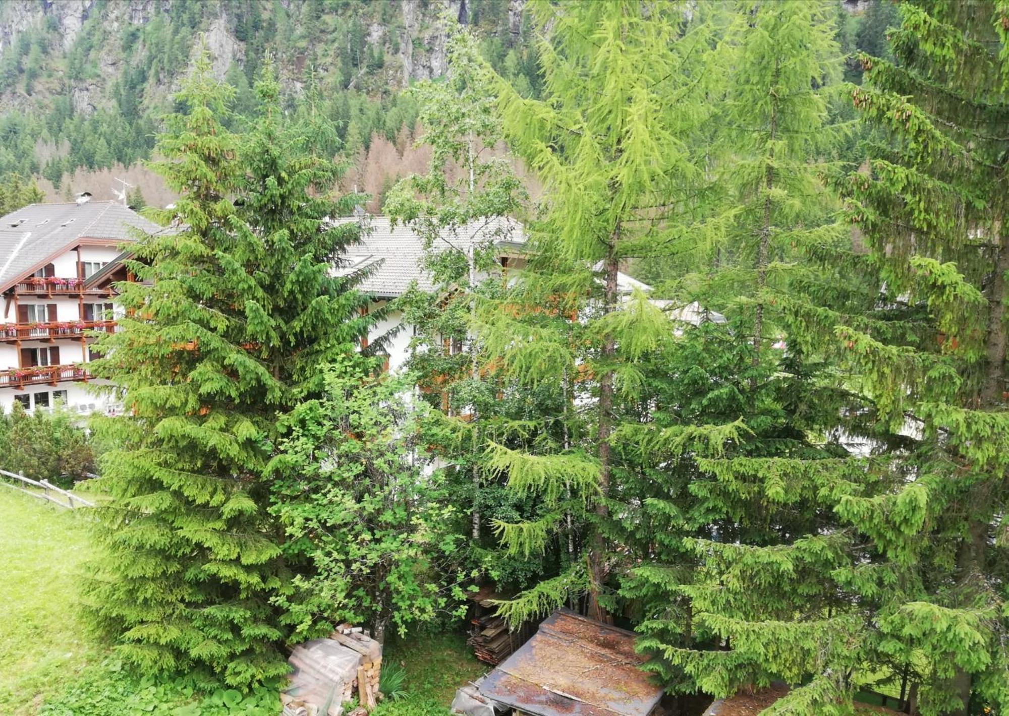 Апартаменты Cesa Pier Sellaronda Dolomiti Кампителло-ди-Фасса Экстерьер фото