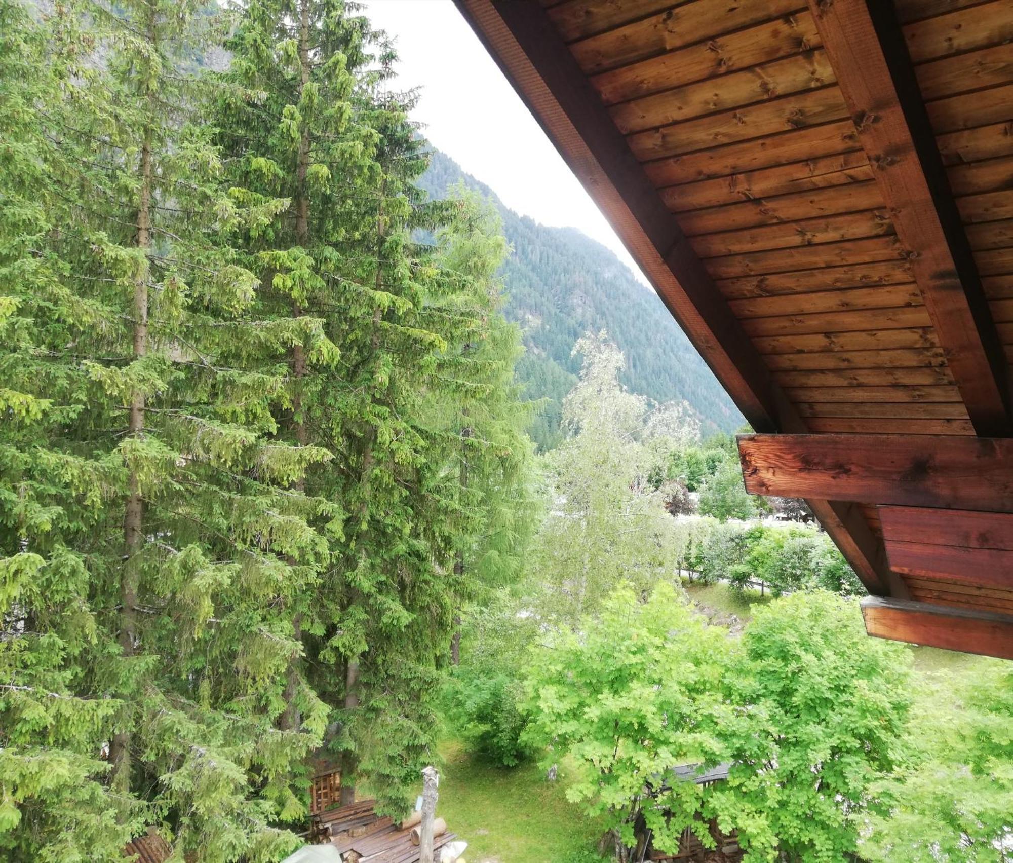 Апартаменты Cesa Pier Sellaronda Dolomiti Кампителло-ди-Фасса Экстерьер фото